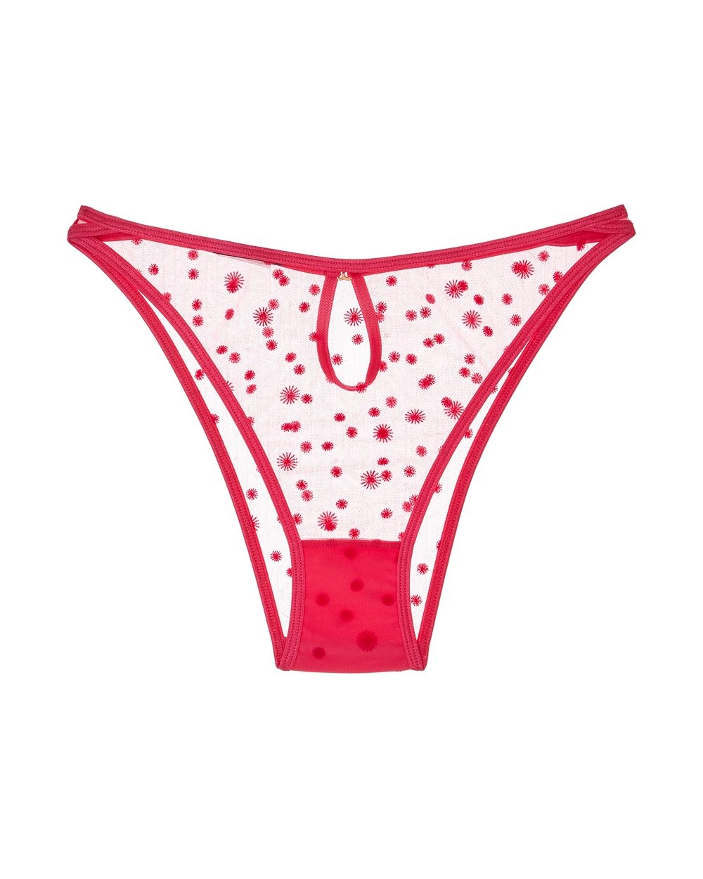 Framboise Briefs
