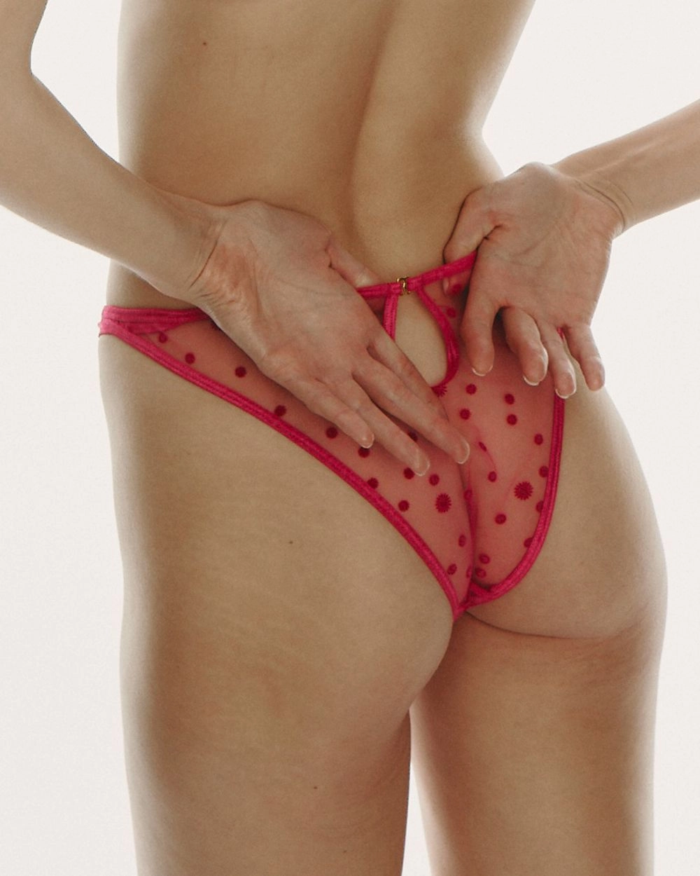 Framboise Briefs