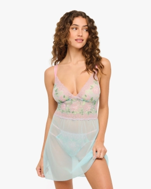 Nuisette