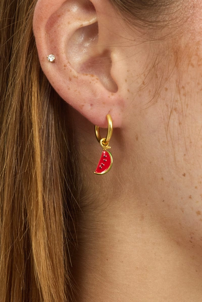 Red Watermelon Earrings