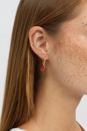 Red Watermelon Earrings
